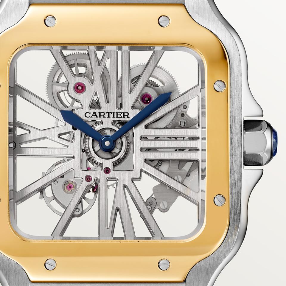 Cartier Santos de Cartier Skeleton WHSA0019 “Gold & Steel” Large Model