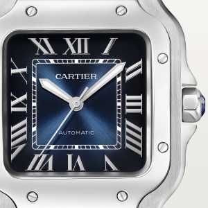 Cartier Santos de Cartier WSSA0071 graduated blue dial close-up